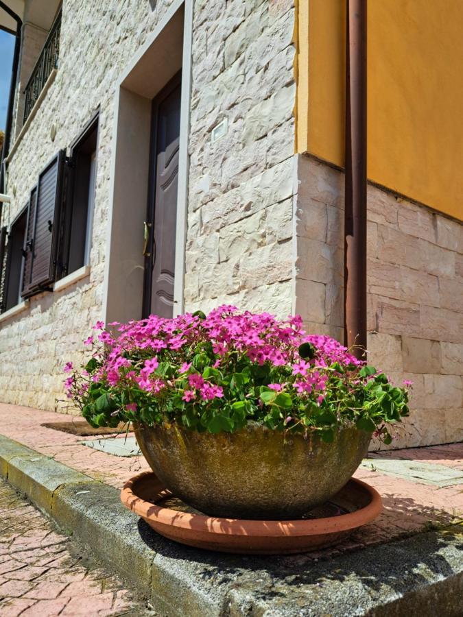 La Casa Di Mezzo-Affitti Brevi-Zona Ospedali Busso Exterior foto